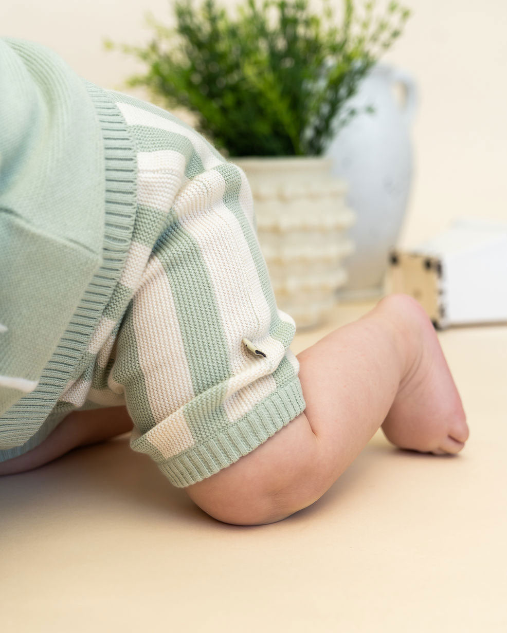 Palm Trees Embroidered Baby Shirt & Shorts Set